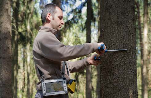 Služby pro lesnickou praxi, mapování a zjišťování stavu lesa