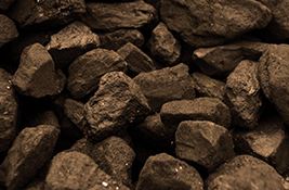 Packaged and bulk hard and brown coal, coke, briquettes - wholesale  the Czech Republic