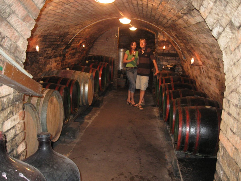 Vinný sklep, vinařství, Velké Bílovice, Penzion U hroznu