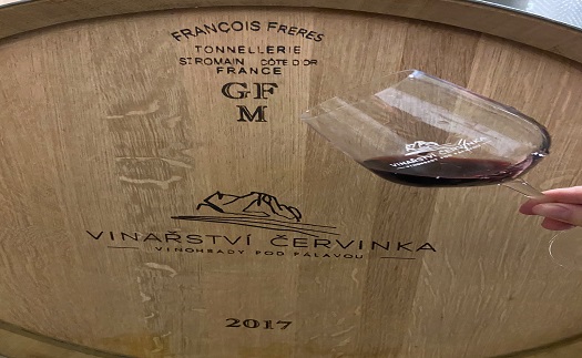 Řízená degustace vína s občerstvením a posezením v degustačním sklepě Horní Věstonice