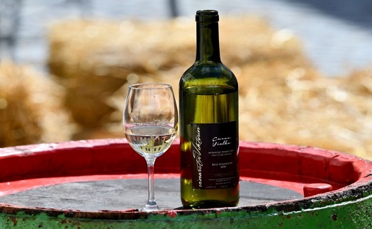 Znojemské historické vinobraní – ochutnávka dobrého vína, bohatý zábavní a kulturní program