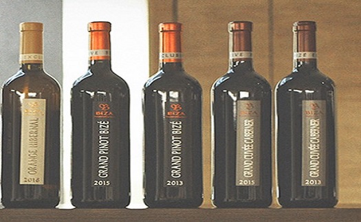 Víno dozrávající ve francouzských dubových sudech barrique - Grand Pinot Bizé v magnum lahvi