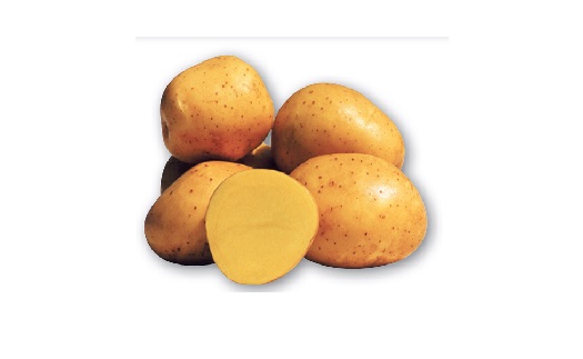 Kvalitní sadbové a konzumní brambory českého původu - rozvoz, pro uskladnění