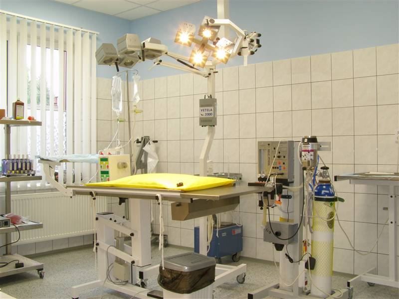 Operační sál, zákroky a léčba zvířat