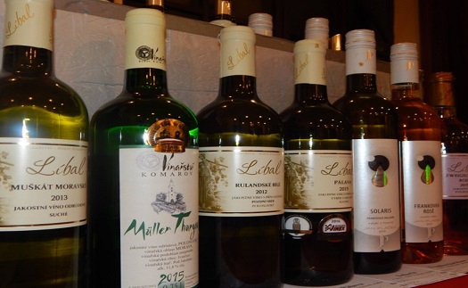 Kolekce vín odrůd typických pro znojemskou vinařskou podoblast