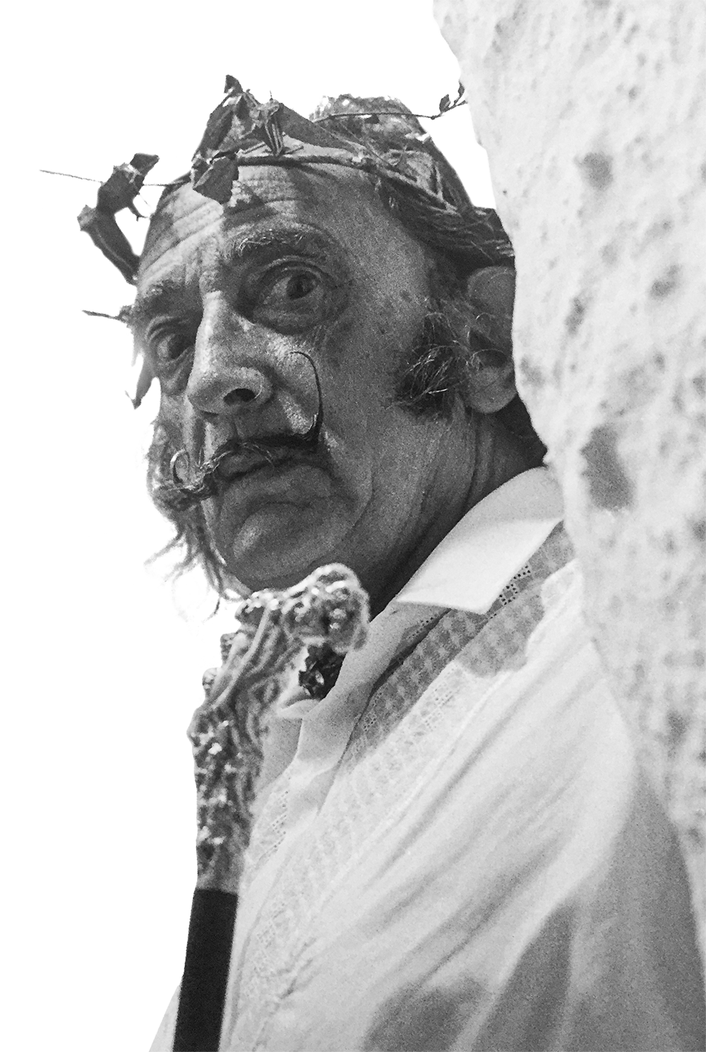 Salvador Dalí - výstava