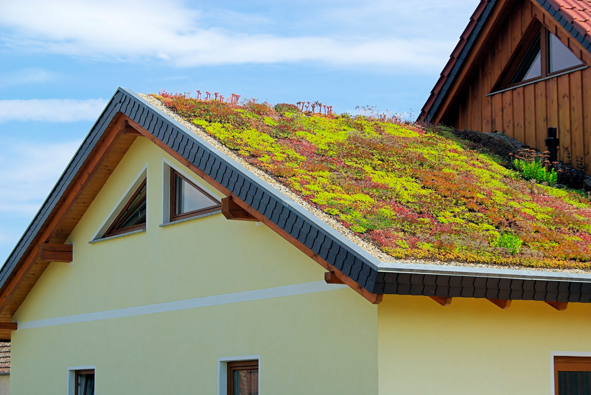 Zelené střechy pro jakoukoliv budovu