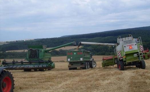 Zemědělské družstvo v okrese Kroměříž, pěstování obilovin včetně osiv, chov skotu, produkce mléka