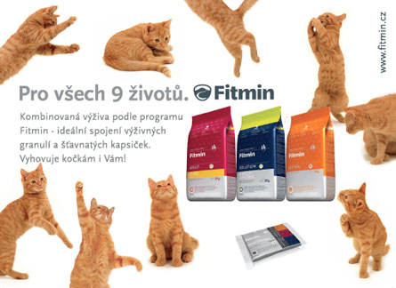 Nejlepší krmivo pro kočky - Fitmin