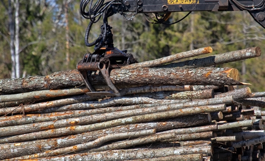 Prodej, zpracování dřeva a hospodářská úprava lesů od BIOMARAS s.r.o.