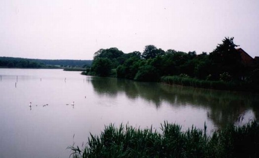Obec Dlouhopolsko okres Nymburk, Dlouhopolský rybník, obora, národní přírodní památka Dlouhopolsko