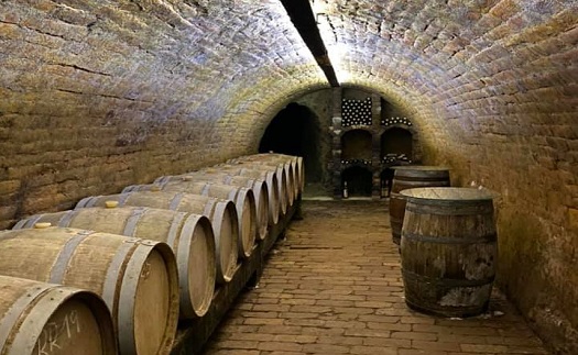 Degustace vína s prohlídkou vinných sklepů jižní Morava