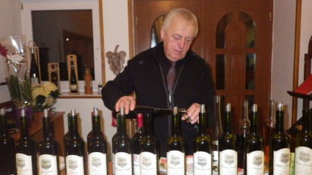Řízená degustace vín ve vinném sklípku Velké Pavlovice