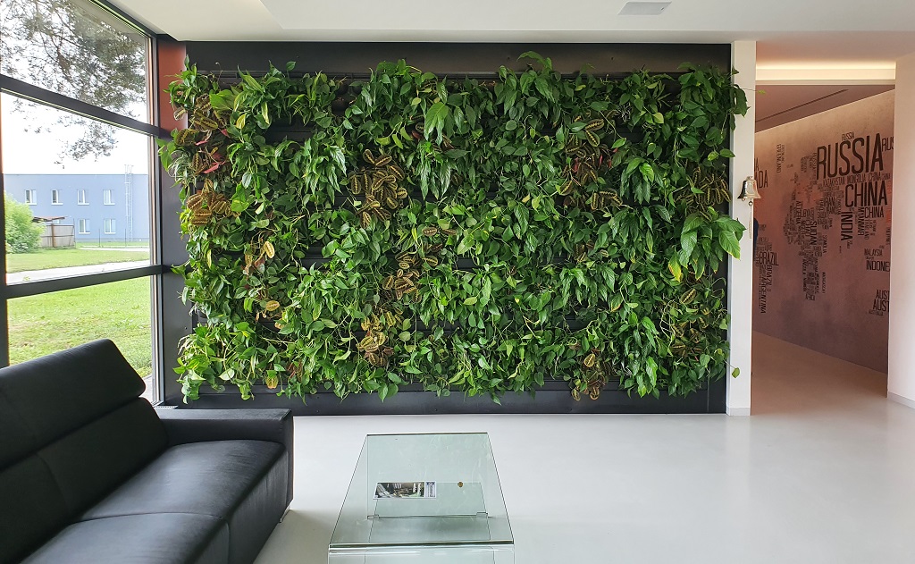 Realizace a instalace zelené stěny z živých rostlin - vertikální zahrada do interiéru bytu, kanceláře