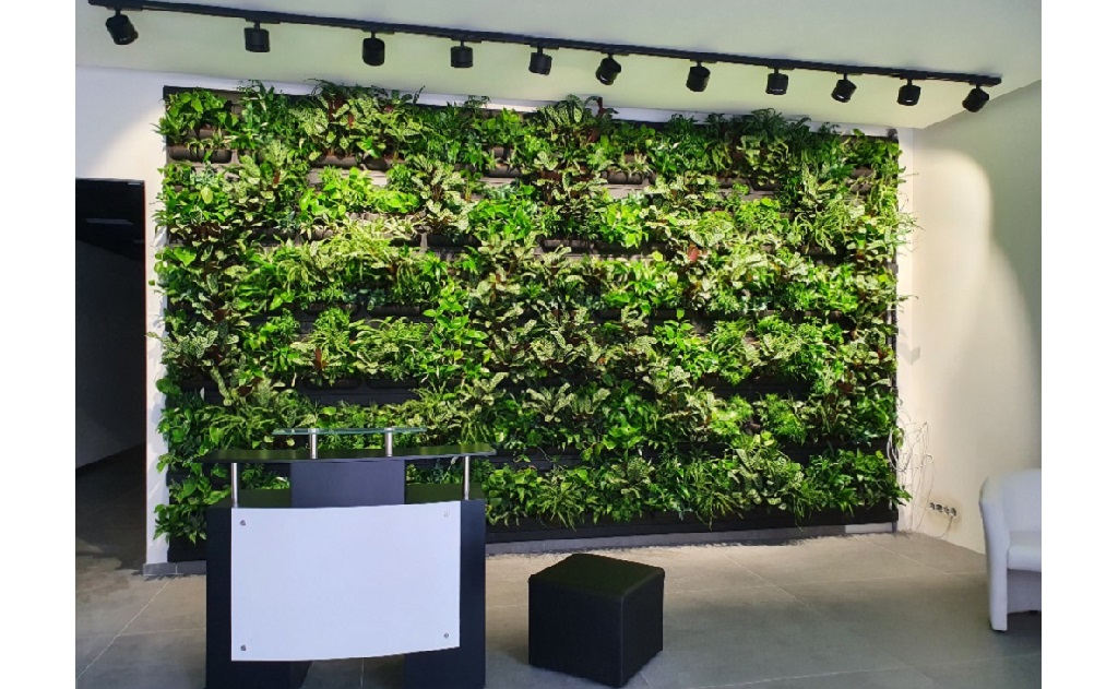 zelené stěny z živých rostlin v interiéru