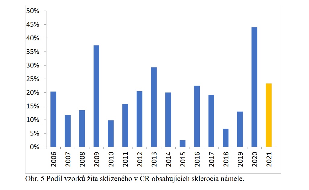 Podíl vzorků žita sklizeného v ČR obsahujících sklerocia námele