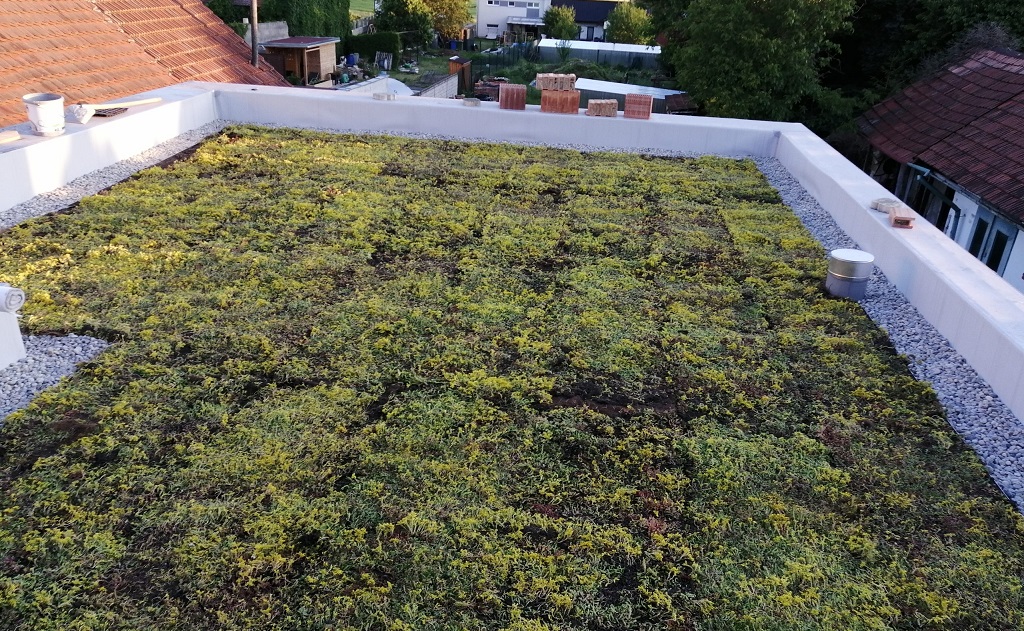 Zelená, vegetační střecha včetně hydroizolace vytváří příjemné prostředí a pomáhá k úspoře energie