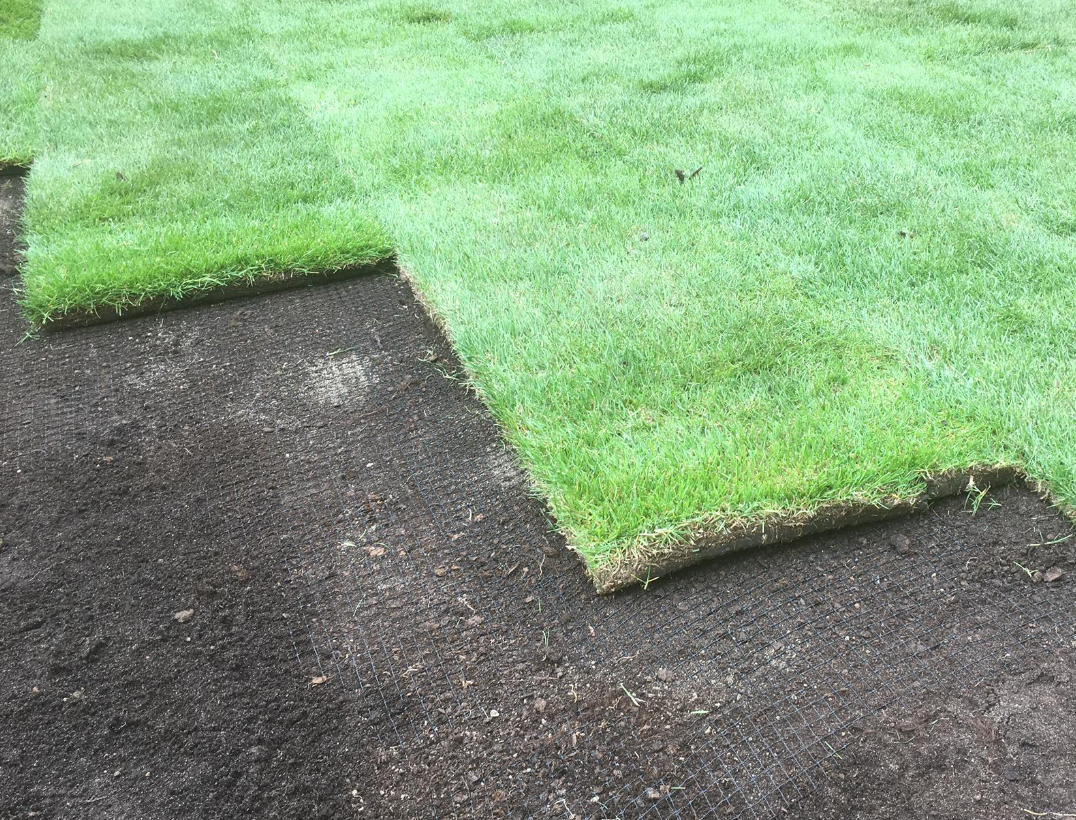 Pokládka travního koberce – profesionální založení trávníku a rychlé zazelenání plochy kolem domu