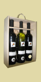 Vinařská turistika - prodej lahodných a vysoce kvalitních moravských vín Strachotín