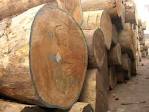 Ebony, mahogany wood