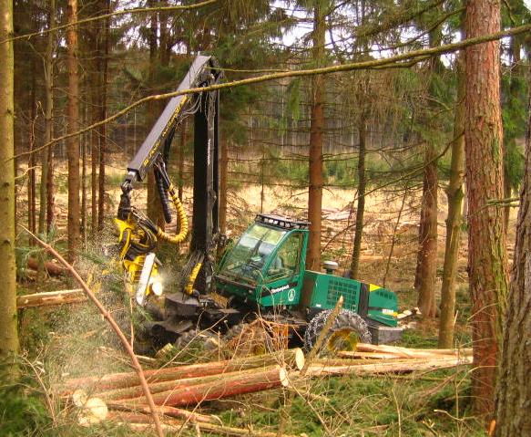 Těžba a přibližování dřeva harvestorovou technologií.