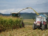Zemědělské práce, traktorové práce-osev, výmlat obilovin, sklizeň na siláž