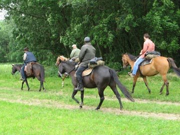 Vyjížďky na koních, výuka jízdy na koni, Zlín, Kroměříž, Tlumačov