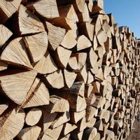 palivové dřevo na prodej Znojmo