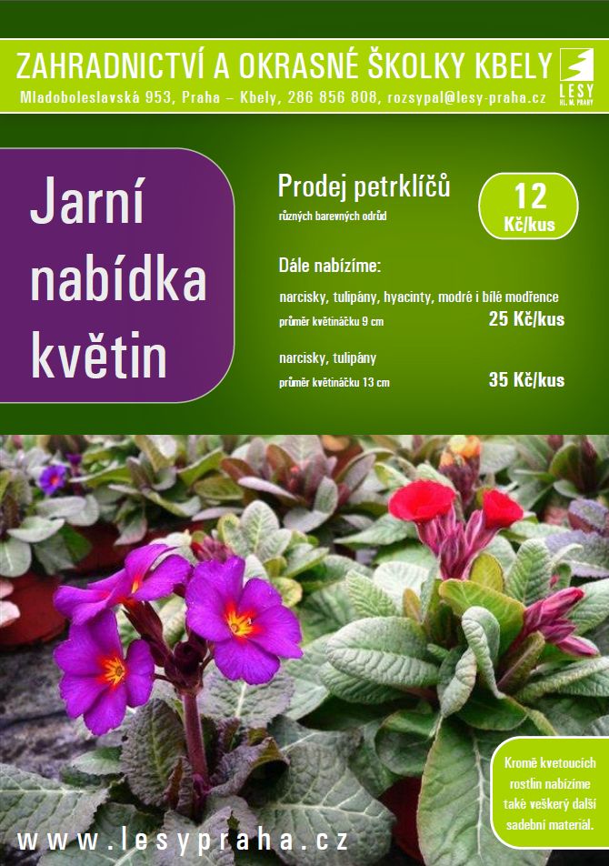 prodej květin a okrasných dřevin Praha