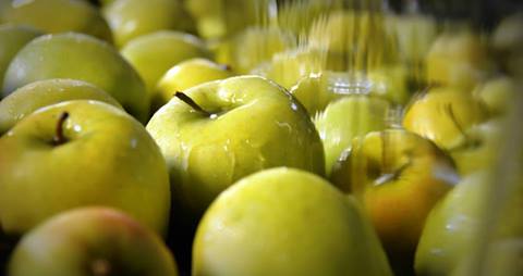 Ovoce Znojmo, prodej ovoce, jablka Moravský Krumlov