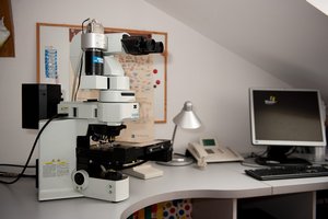 Vyšetření embryí nejnovější metodou microarray (pro IVF)