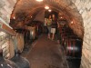 Vinný sklep s posezením, ochutnávky vín z jižní Moravy