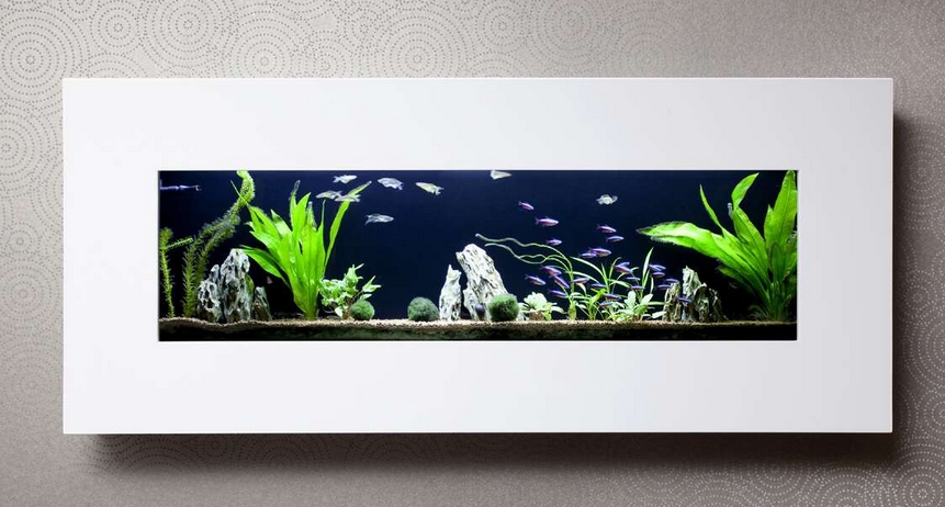 Mořské akvárium, akvária na míru, živý obraz Uherské Hradiště, Zlín