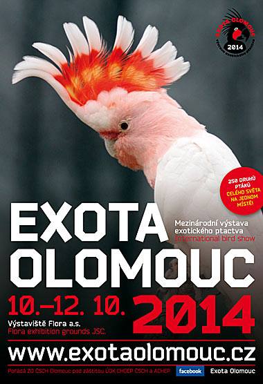Výstava exotického a okrasného ptactva EXOTA Olomouc
