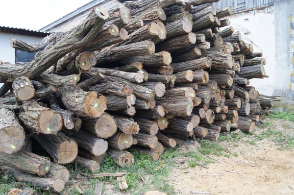 Verkauf von gespaltenen Brennholz mit Transport nach Hause Österreich