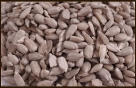 Dýňové semínko upotřebíte při pečení dýňových kostek