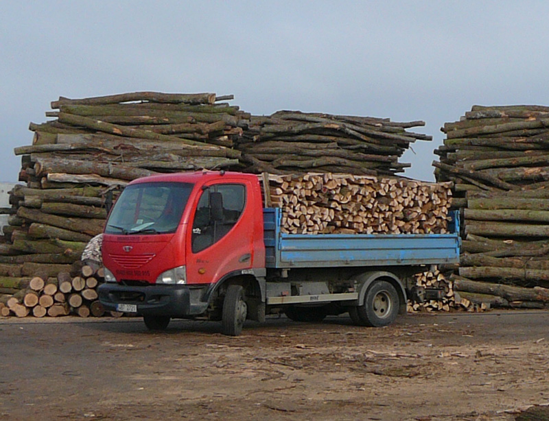 Predaj pevných palív, narezané a štiepané palivové drevo, polená | Česká republika