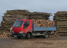 Fuel wood - shortened and chopped, supply, wood sale Znojmo, the Czech Republic