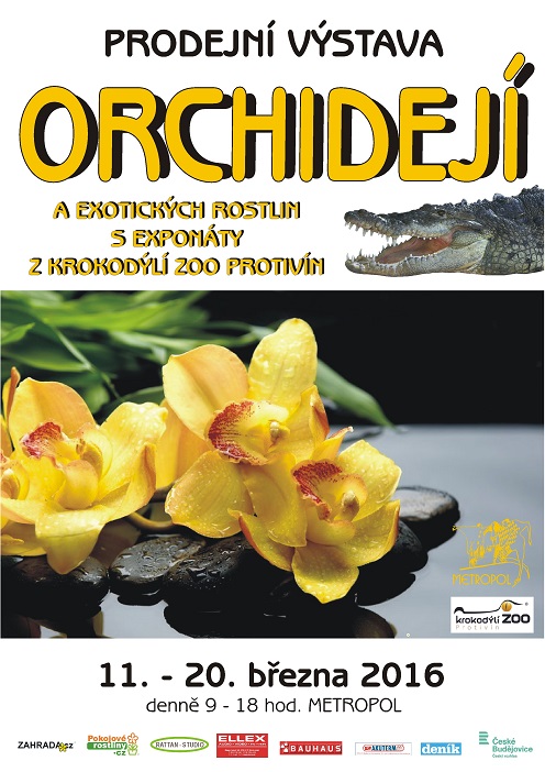Výstava orchidejí České Budějovice – zavítejte do exotiky v zimě