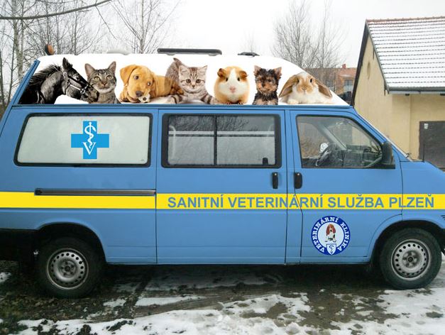 Sanitní veterinární služba Plzeň - sanitní služba pro zvířata