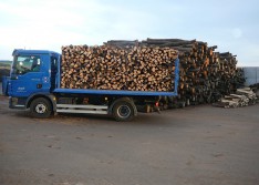 Palivové dřevo, prodej, dodávka, dřeviny buku, dubu, habru, břízy, smrku, borovice Moravské Budějovice