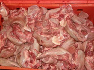 Vepřové maso přímo z jatek - jateční opracování prasat, kvalita a čerstvost