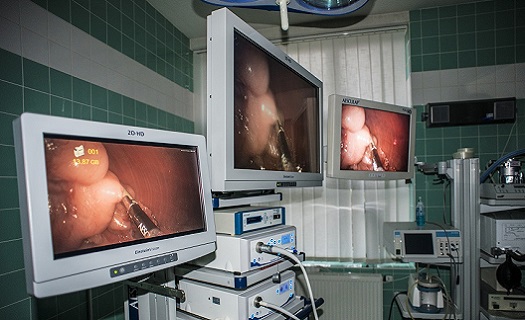 Špičkově provedená laparoskopická kastrace
