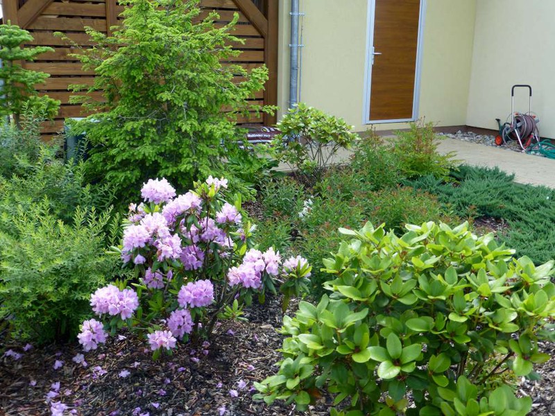 Kompletní realizace zahrad včetně jarní výsadby rostlin a zakládání záhonů