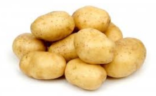 Prodej nových raných brambor Zlín