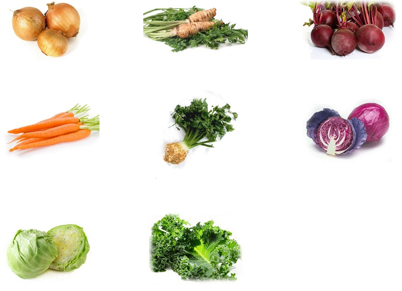 Vakuově balené zeleninové gastro polotovary pro gastronomii, jídelny, nemocnice