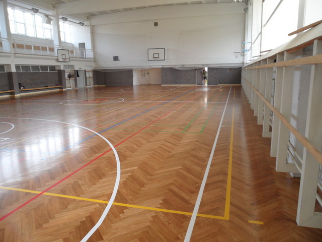 Kvalitní sportovní podlahy, dřevěné, umělé i kombinované povrchy sportovišť