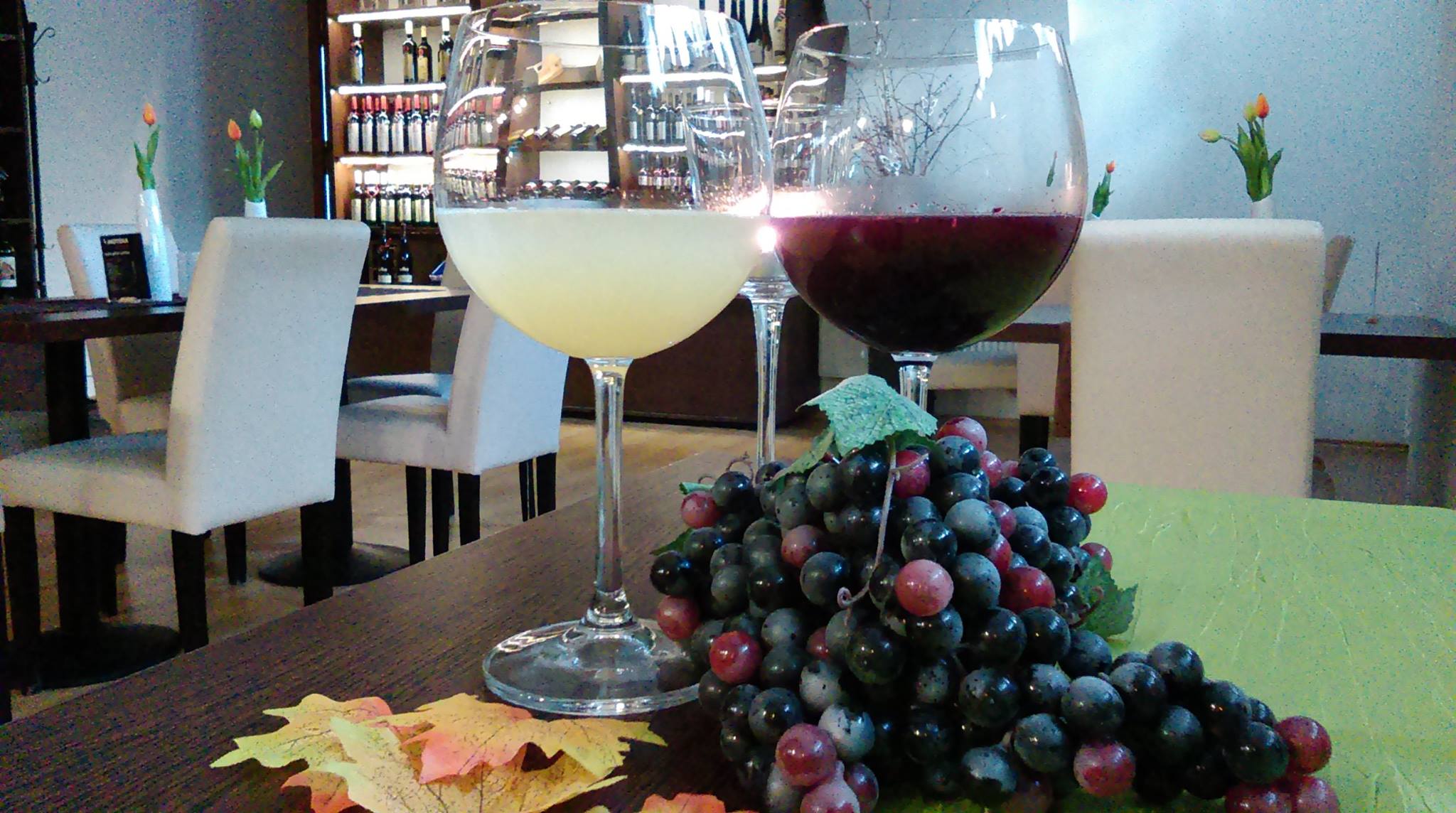 Mladé víno z Moravy, pravý burčák červený, bílý-Vinotéka u archy
