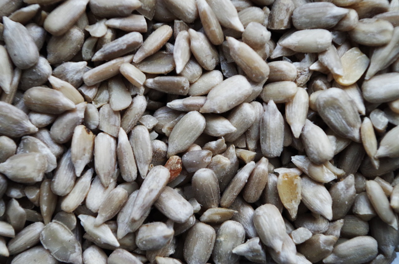Semena - posypový materiál do velkoobchodů a firem s balícím zařízením