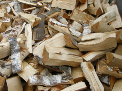 Kvalitní štípané palivové dřevo